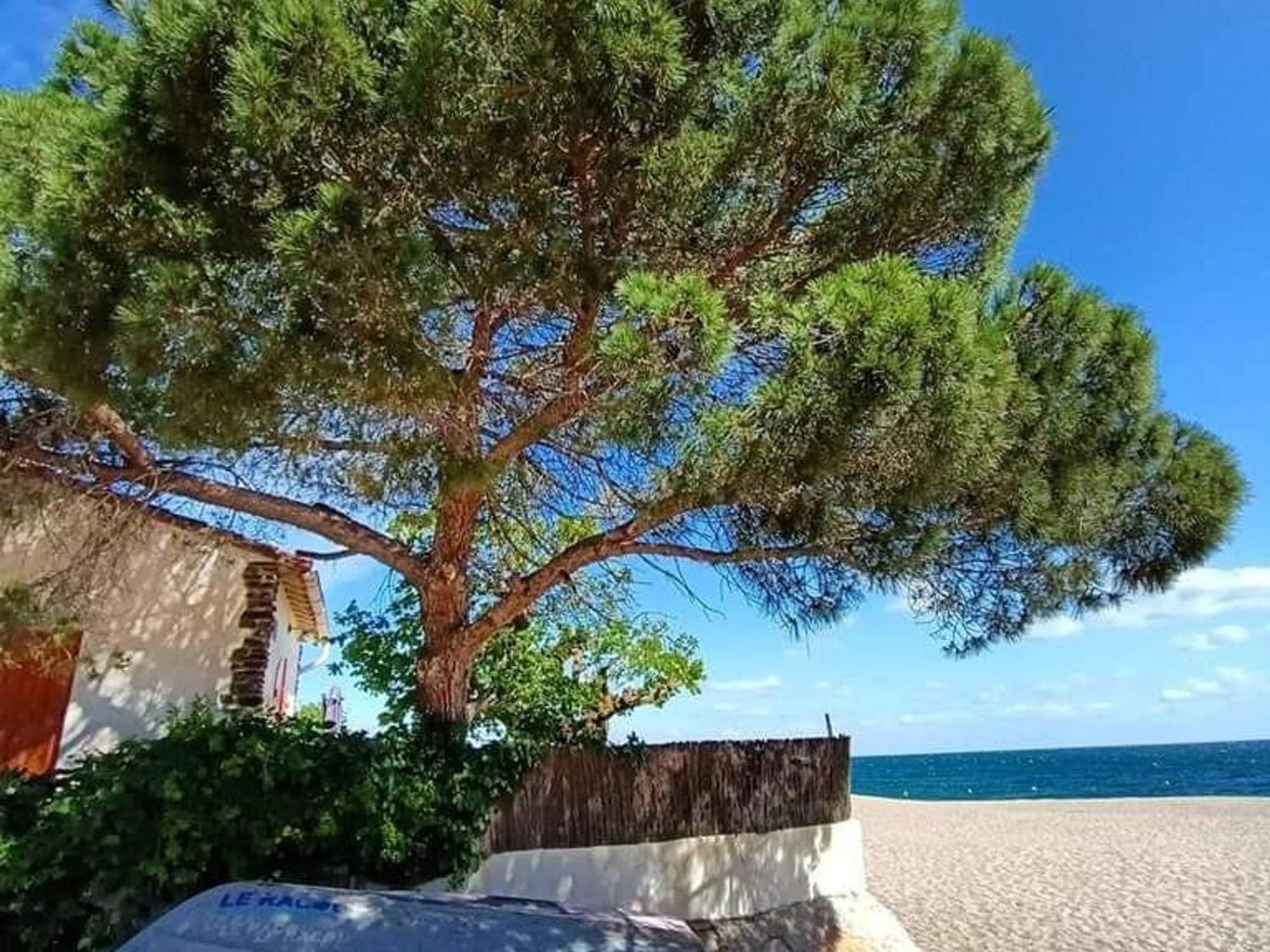 Pavillon 6 Pers A Argeles-Sur-Mer: Piscine, Clim, Parking, Wifi, Proche Plage - Fr-1-776-5 Exterior foto